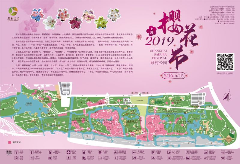 上海顾村公园景点介绍图片